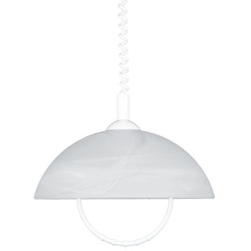 Prezent ALBERT 23068 Hängande lampa 1x60W/E27 IP20