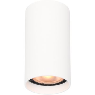Italux Lopus CLN-48930-S-WH Ytmonterad downlight 1x10W/GU10 IP20