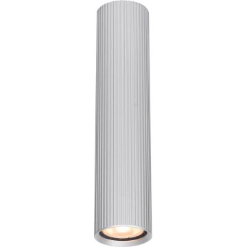 Italux Rilok CLN-83920-L-ALU Ytmonterad downlight 1x10W/GU10 IP20