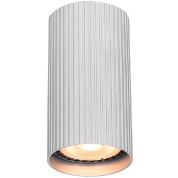 Italux Rilok CLN-83920-S-ALU Ytmonterad downlight 1x10W/GU10 IP20