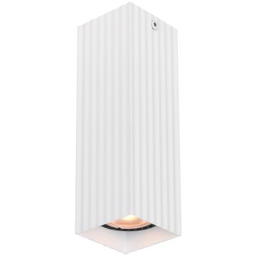 Italux Tecno CLN-37492-M-WH Ytmonterad downlight 1x10W/GU10 IP20