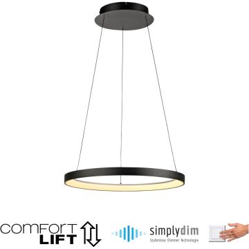 Paul Neuhaus HOOP 2851-18 Hängande lampa 1x42W/LED 3000k 5900lm ip20