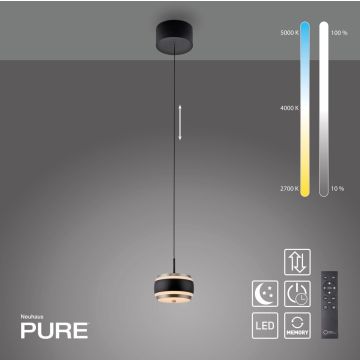Paul Neuhaus PURE FALLING RINGS 2503-18 Hängande lampa 1x8W/LED 2200-5000k 310lm ip20