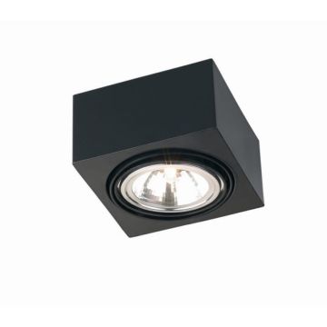 Argon RODOS 346 Taklampa 1x6W/G9 IP20