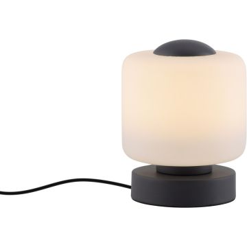 Paul Neuhaus BOTA 4037-13 Bordslampa 1x7W/LED 3000k 580lm ip20