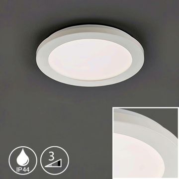 Fischer&Honsel Gotland 21172 Taklampa 1x8.5W/LED 3000K 1100 lm IP44
