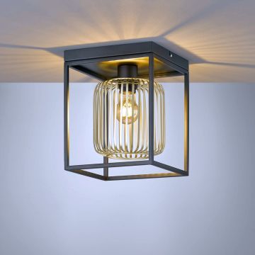 Fischer&Honsel Caydo 21294 Taklampa 1x40W/E27 IP20
