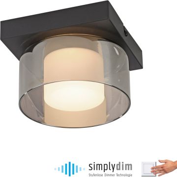 Paul Neuhaus RIKA 6162-18 Taklampa 1x6W/LED 3000k 680lm ip20