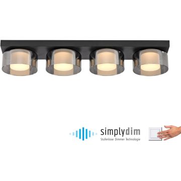 Paul Neuhaus RIKA 6164-18 Taklampa 4x24W/LED 3000k 3800lm ip20