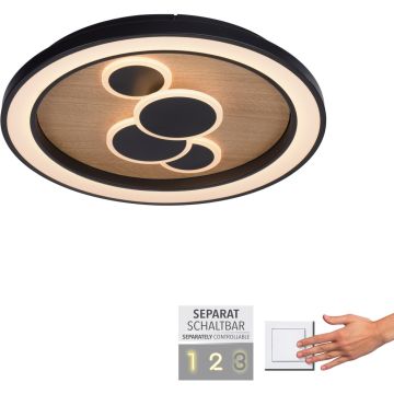 Paul Neuhaus ELIZA 6284-79 Taklampa 1x63W/LED 3000k 6620lm ip20