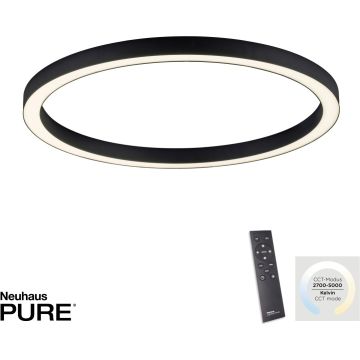 Paul Neuhaus PURE-LINES 6306-13 Hängande lampa 1x42W/LED 2700-5000k 4100lm ip20