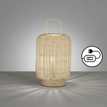 Fischer&Honsel Nature 50738 Bordslampa 1x25W/E14 IP20