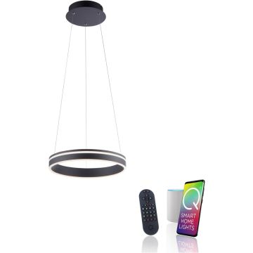 Paul Neuhaus Q-VITO 8410-13 Hängande lampa 1x33W/LED 2700-5000k 3250lm ip20