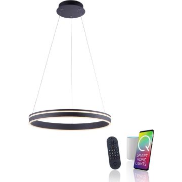 Paul Neuhaus Q-VITO 8411-13 Hängande lampa 1x44W/LED 2700-5000k 4550lm ip20