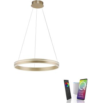 Paul Neuhaus Q-VITO 8411-60 Hängande lampa 1x44W/LED 2700-5000k 4550lm ip20