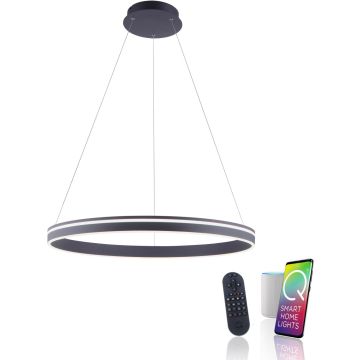 Paul Neuhaus Q-VITO 8412-13 Hängande lampa 1x65W/LED 2700-5000k 7000lm ip20