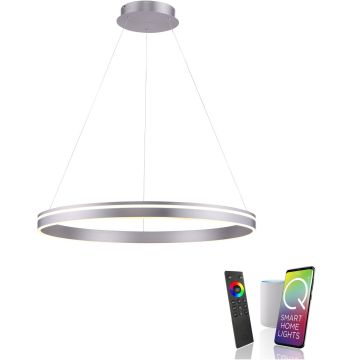 Paul Neuhaus Q-VITO 8412-55 Hängande lampa 1x65W/LED 2700-5000k 7000lm ip20