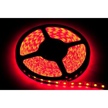 Eko-Light LED STRIP EKPL735 LED-remsa 12W/250cm IP65