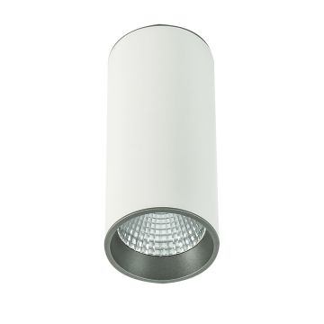 Italux MOLDES SLC7392/12W 4000K WH+GR Ytmonterad downlight 1x12W/LED 820LM IP20