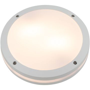AZzardo FANO R 30 SMART LED RGB AZ4785 Taklampa 24W/LED 2600K-6000K 1720LM IP54