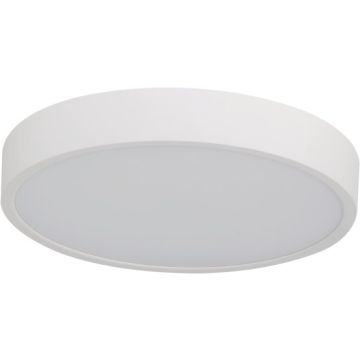 Azzardo PANDINO AZ6583 Taklampa 1x23w/led 2800k/4000k/5400k 1518lm ip44