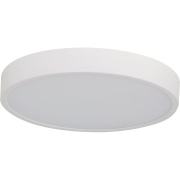 Azzardo PANDINO AZ6585 Taklampa 1x21w/led 2800k/4000k/6000k 2630lm ip44