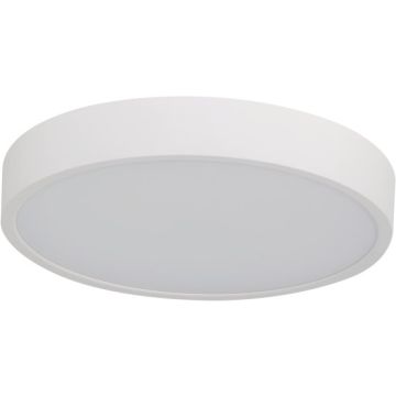 Azzardo PANDINO AZ6589 Taklampa 1x24w/led 2800k/4000k/6000k ip44