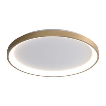 Italux Raden CLN-3151-M-GD Taklampa 1x50W/LED 3000K|4000K|6000K 2900lm IP20