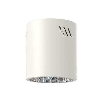 Milagro GEORGE ML0481 Ytmonterad downlight 1x60W/E27 IP20