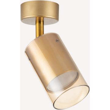 Zuma Line REN OB-2211BD-1-GLD Spotlampa 1x50W/GU10