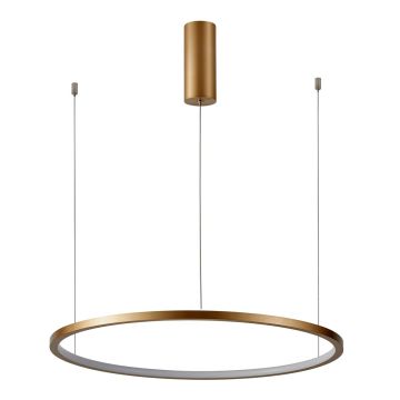 Italux Vinola PND-56135B-100RPP-GD-3KS4K-TRDIMM Hängande lampa 1x58W/LED 3000K|4000K 4640lm IP20