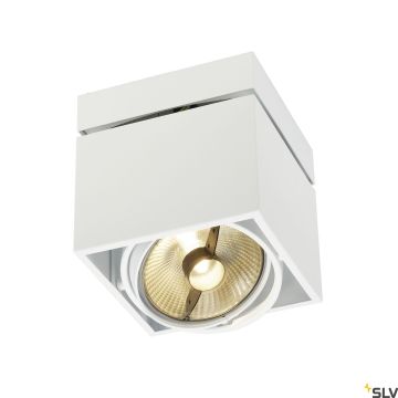 SLV KARDAMOD 117101 Ytmonterad downlight 1x75W/GU10/ES111 IP20