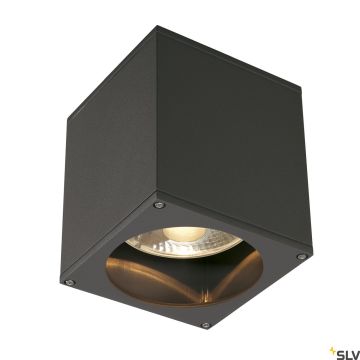 SLV THEO 229555 Taklampa 1x75W/GU10/ES111 IP44