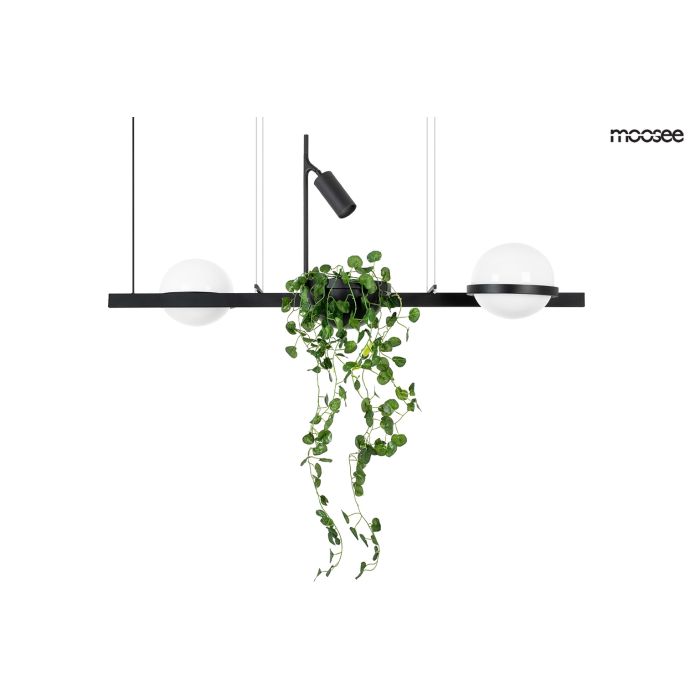King Home-MOOSEE PLANT-MSE010100156-KNGMSE010100156